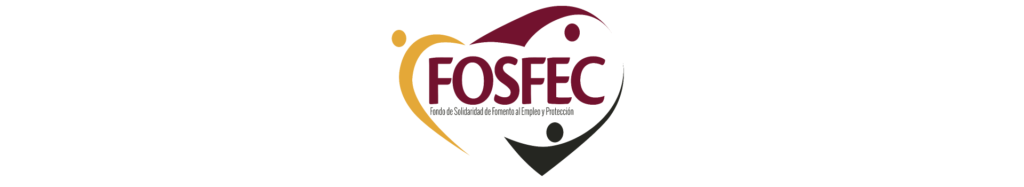 banner-fosfec-20210315
