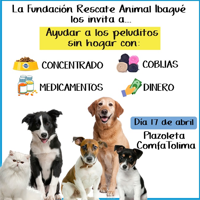 Campaña peluditos sin hogar