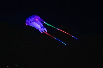 DSC03896