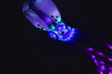 DSC03949