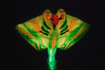 DSC03955