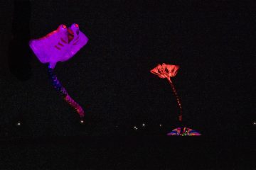 DSC03959
