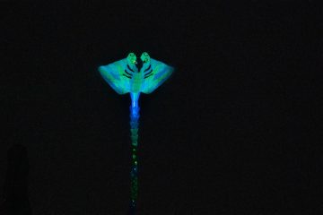 DSC03961