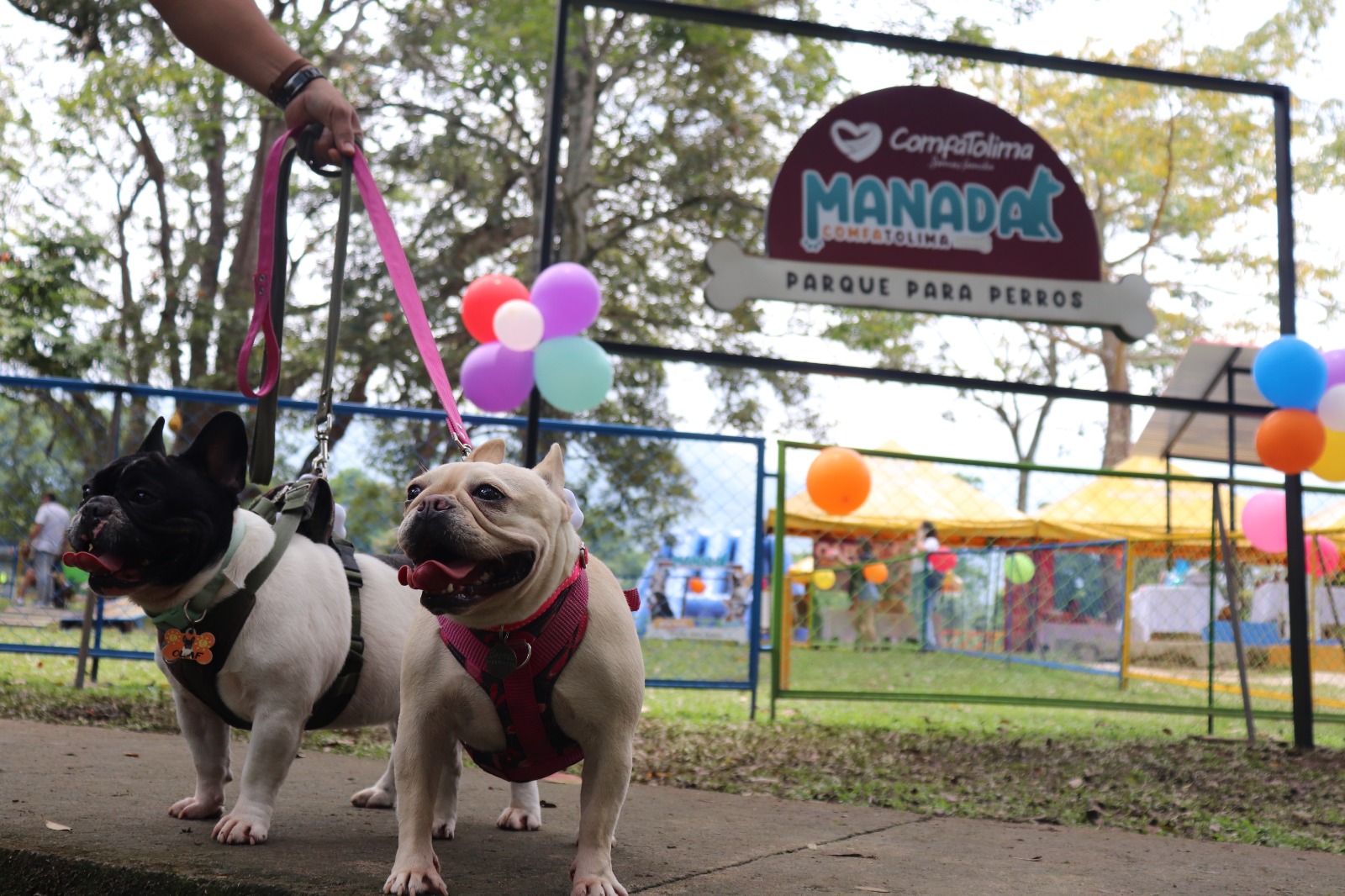 514255366_1167085825457710_1408965409191114134_n