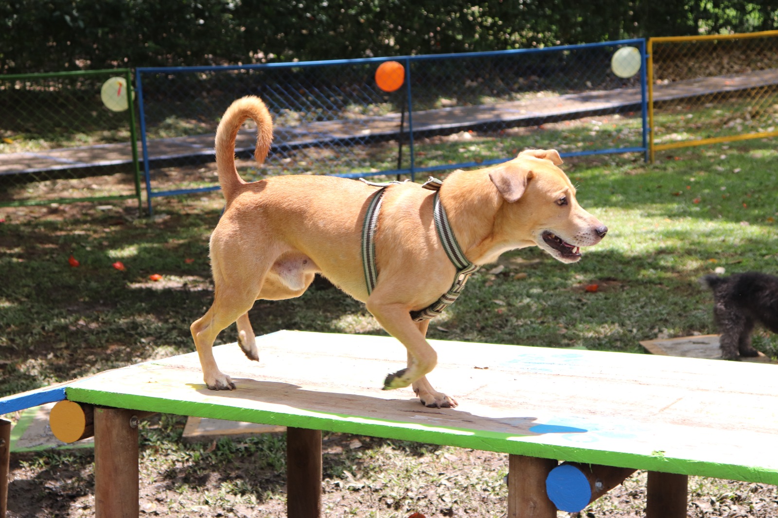 517418640_1167085838791042_6969764936984172517_n