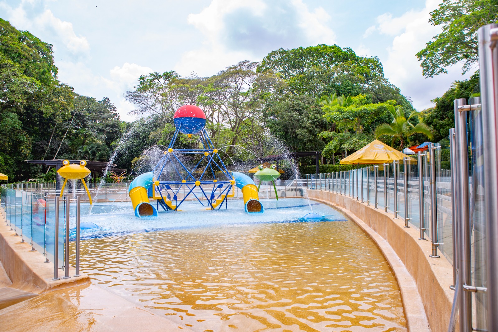 6d06493a-e4f3-4f47-91d9-7dbb5d51be19