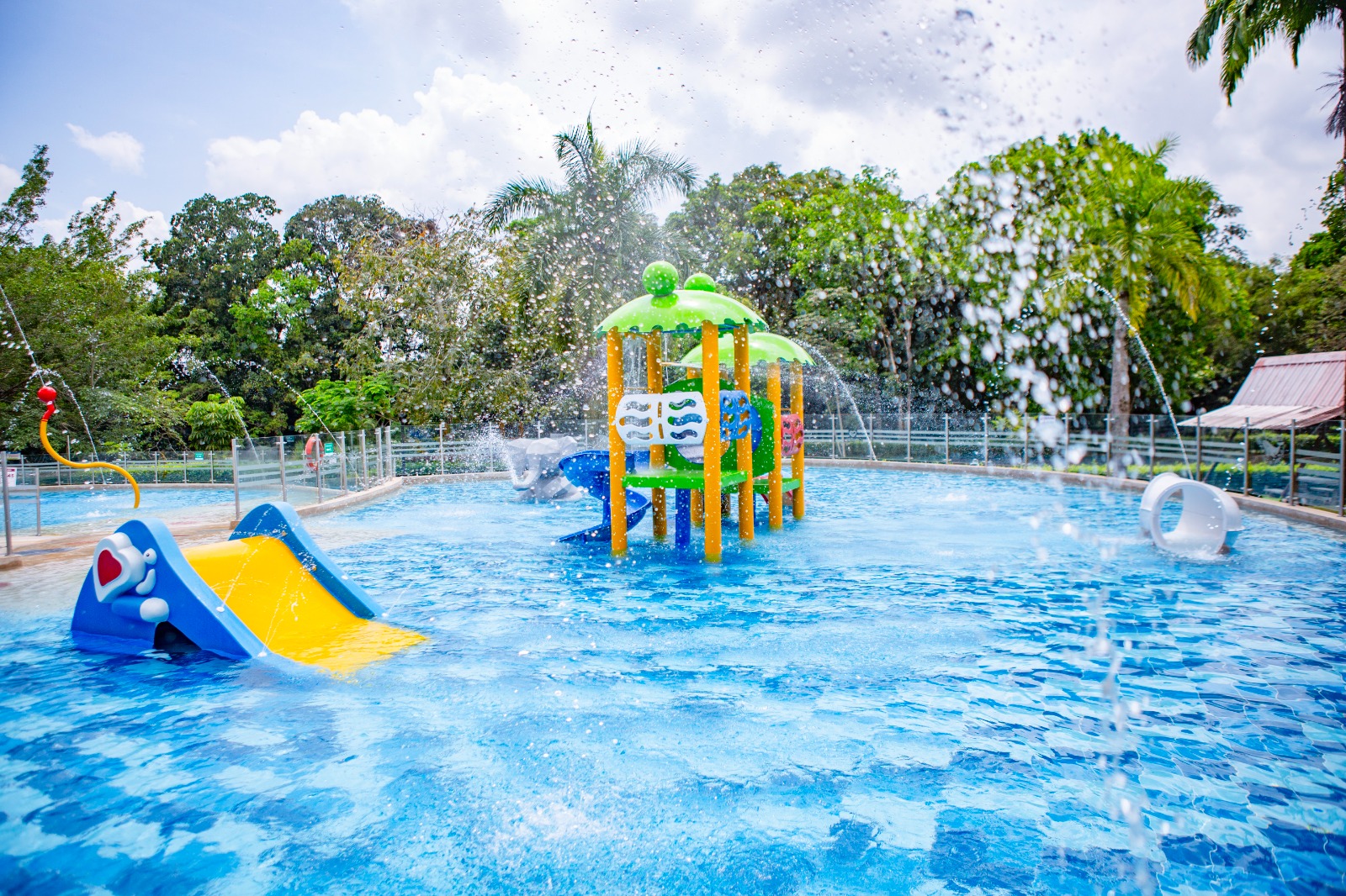 c2969288-7fe5-4607-8ce3-4de3678414af