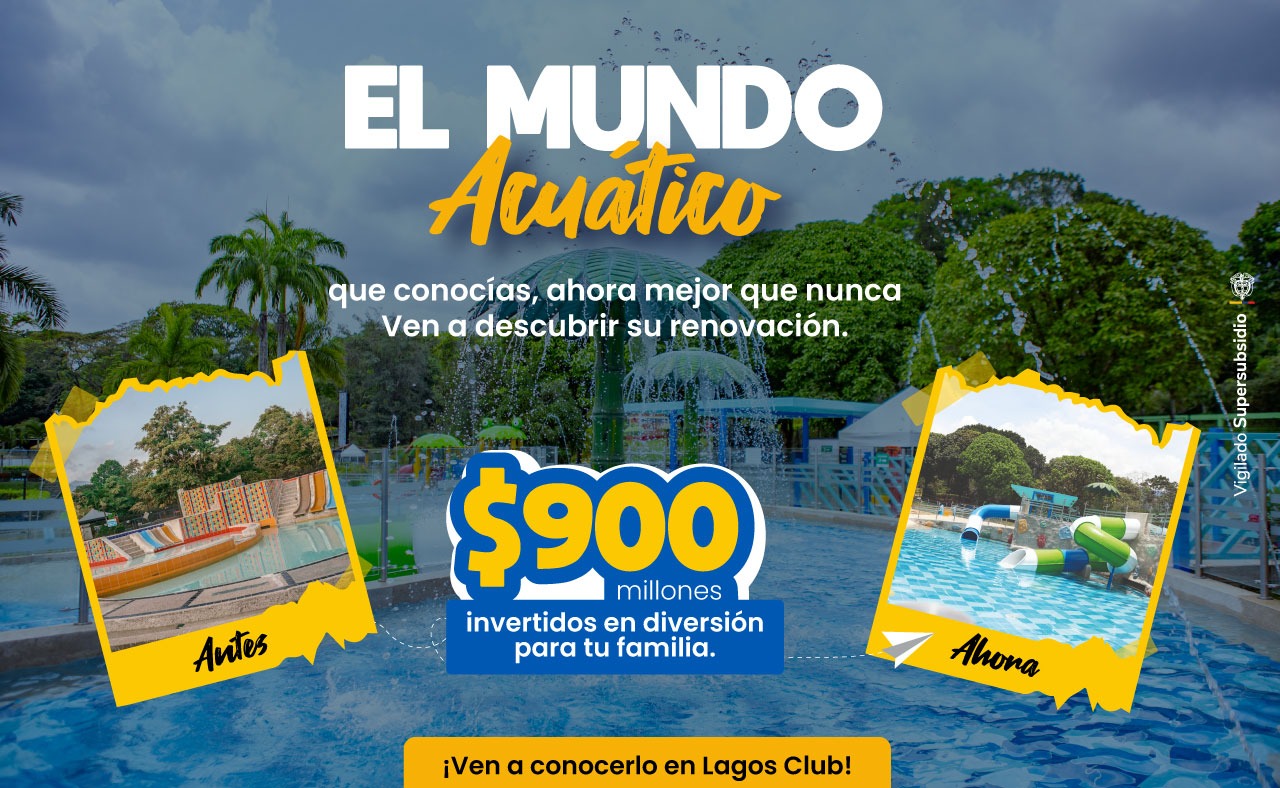 mundo acuatico miniatura