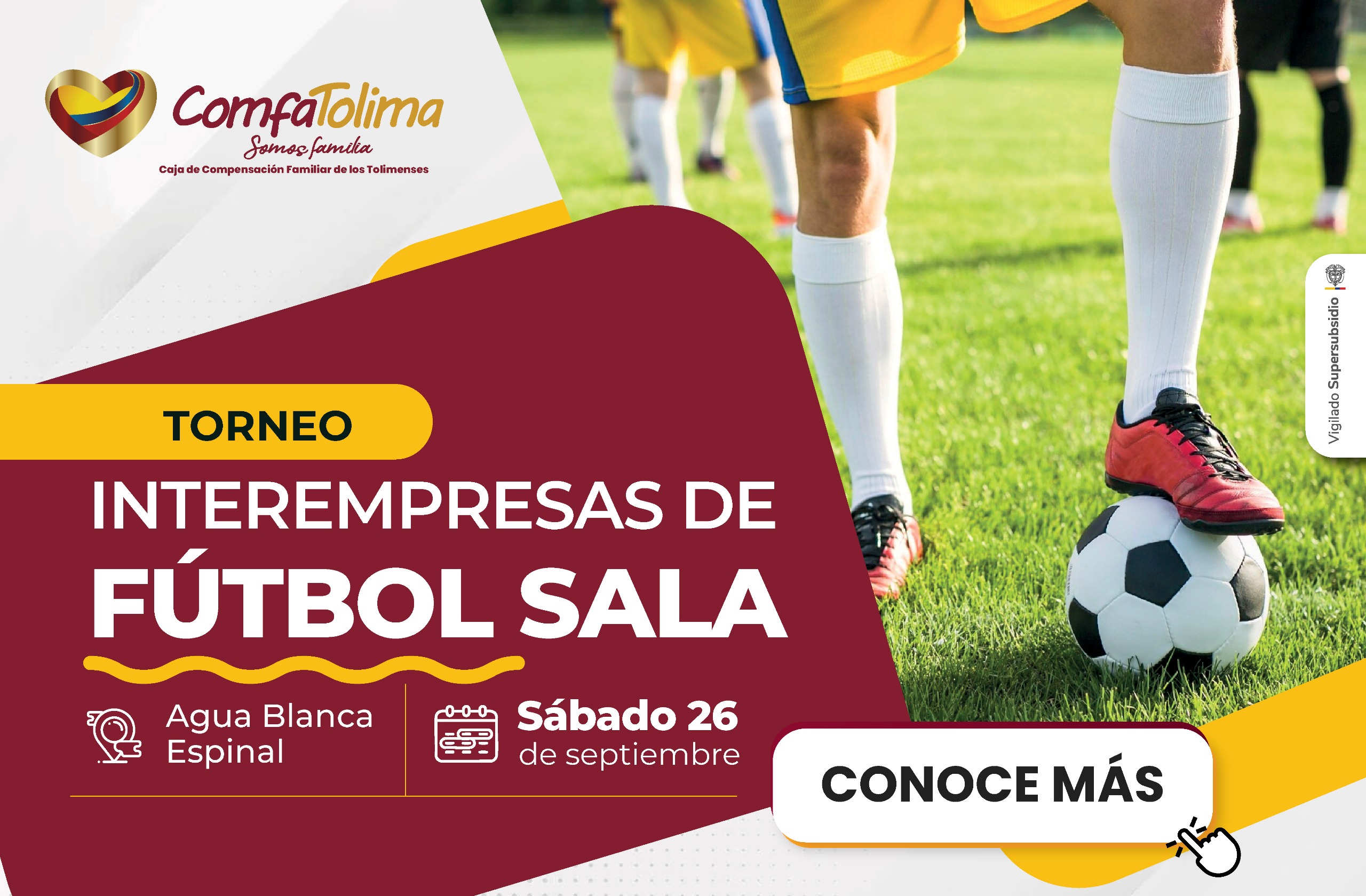 MINIATURA WEB (5)